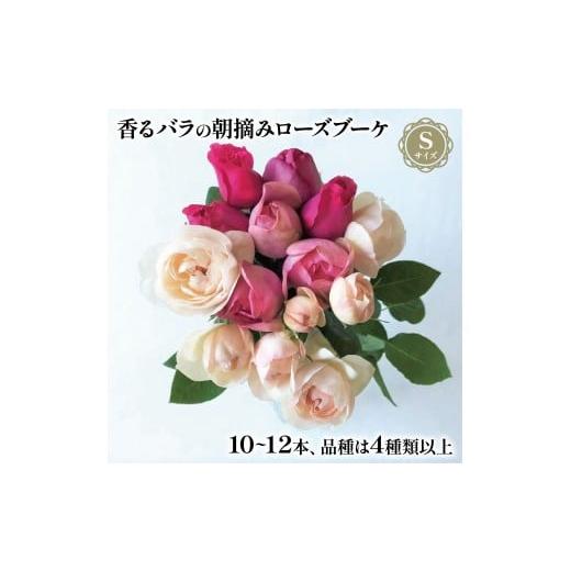 ふるさと納税 花・苗木 花束 静岡県 藤枝市 バラ 花束 ブーケ 朝摘み Sサイズ 薔薇 花 ばら 花 パフューム ローズ バラの花束 生花 ギフト 花 プレゼント 祝い…の画像