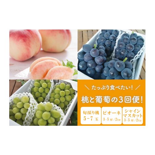 ふるさと納税 ぶどう 岡山県 真庭市 2026年先行予約 たっぷり食べたい 桃とピオーネ、シャインマスカットが届く3回便 (岡山県産)