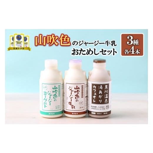 ふるさと納税 飲料類 乳飲料 熊本県 小国町 山のいぶき 山吹色のジャージー牛乳 おためしセット 3種 各4本 計12本 乳脂肪分 5%以上 低温殺菌 素材の味 詰め…