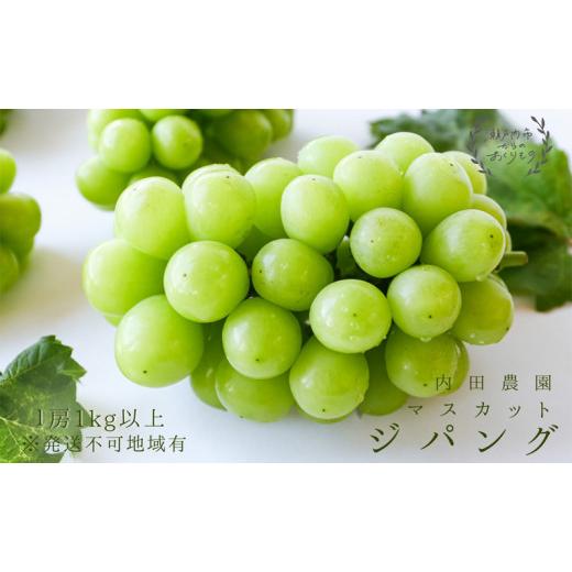 ふるさと納税 ぶどう マスカット 岡山県 瀬戸内市 マスカット・ジパング 1房(1kg以上)内田農園 岡山県 瀬戸内市 邑久町産 葡萄 ぶどう 配達不可:北海道・沖…