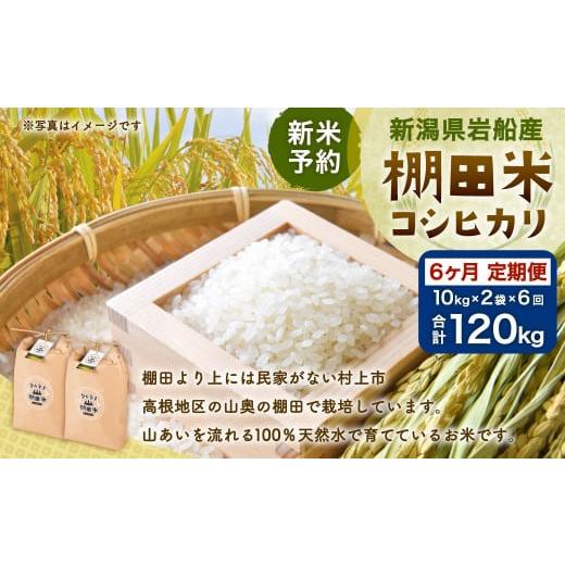 ふるさと納税 新潟県 村上市 [新米受付・令和6年産米]NF4009 新潟県岩船産 棚田米コシヒカリ20kg×6ヶ月お届け 定期便 毎月 新米予約 お米 白米 こしひかり…