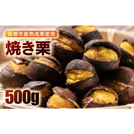 ふるさと納税 宮崎県 西都市 秋の味覚! 熟成焼き栗 2パック 合計500g[先行予約][1-288]