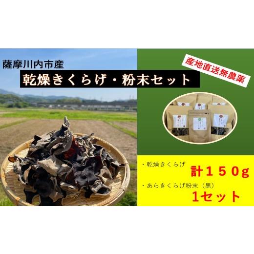 ふるさと納税 鹿児島県 薩摩川内市 DS-006 薩摩川内市産の乾燥きくらげ・粉末セット