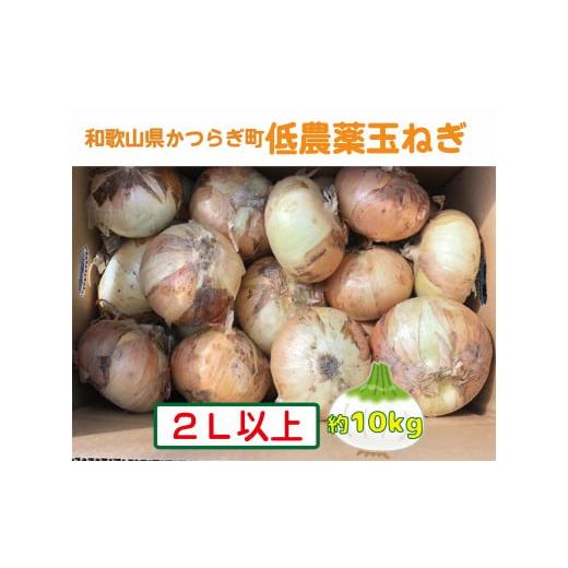 ふるさと納税 野菜類 玉ねぎ 和歌山県 かつらぎ町  2026年発送分・先行予約 農家さん直送 低農薬玉ねぎ2Lサイズ以上 約10kg 2026年4月中旬〜7月中旬発送予定…の画像
