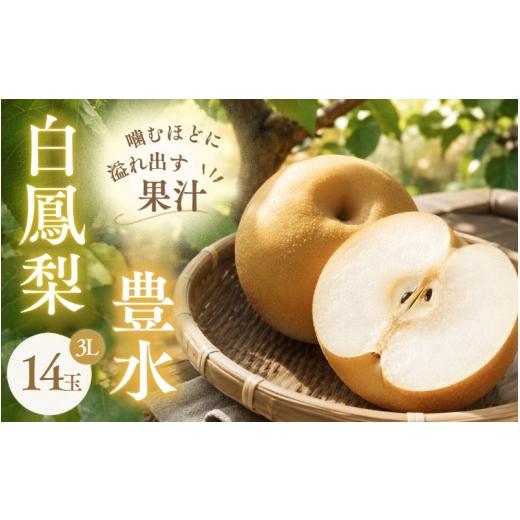 ふるさと納税 梨 三重県 伊賀市 季節限定 梨 豊水[三重の白鳳梨]白鳳梨(豊水)3L 14玉 お届けは9月上旬から9月中旬頃の予定です/強い甘みとシャキッとし…