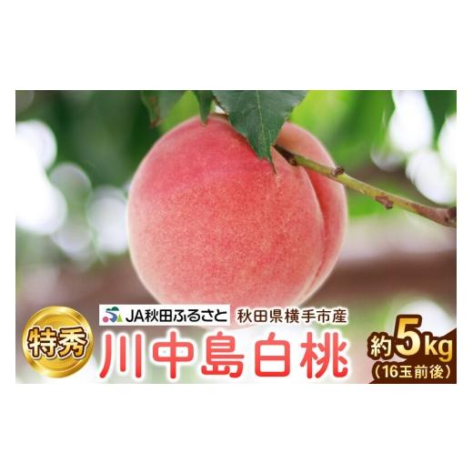 ふるさと納税 もも 秋田県 横手市 先行受付 8月中旬より発送 秋田県横手市産 川中島白桃 特秀 16玉前後(約5kg) 先行予約 桃 もも モモ 果物 フルーツ