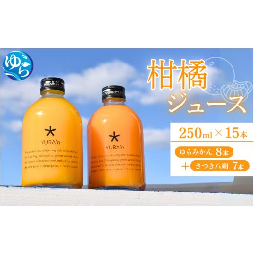 ふるさと納税 果汁飲料 みかん 和歌山県 由良町 ＼レビューキャンペーン中/柑橘ジュース(ゆらみかんとさつき八朔)250ミリ×15本 / 和歌山県 柑橘 みかん …