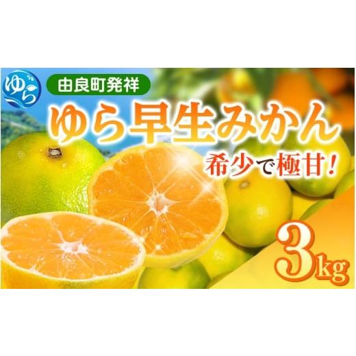 ふるさと納税 果物類 みかん 和歌山県 由良町 受付終了間近 和歌山県産 ゆら早生みかん 3kg 2025年10月中旬頃より順次発送予定 / 和歌山県 柑橘 みかん 甘い…