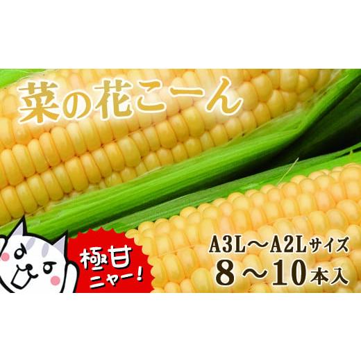 ふるさと納税 とうもろこし 岩手県 一関市 先行予約 朝採れ とうもろこし「菜の花こーん」8〜10本 A3L〜A2Lサイズ 高糖度 濃厚 生食 農家直送 朝 もぎたて ト…