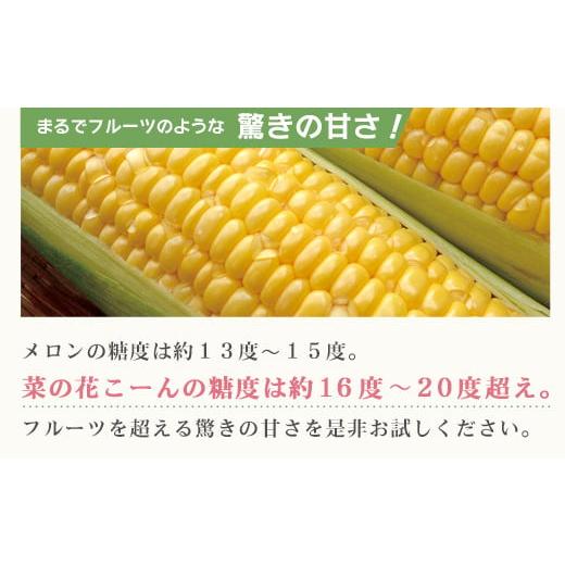 ふるさと納税 岩手県 一関市 【先行予約 2024年発送】朝採れ とうもろこし「菜の花こーん」5本 A2Lサイズ  7月下旬より順次発送予定｜furusatochoice｜03