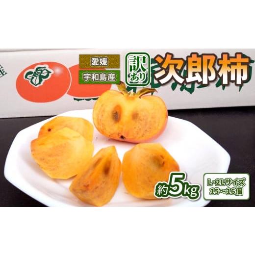 ふるさと納税 果物類 柿 愛媛県 宇和島市 訳あり 柿 次郎柿 15〜16個 5kg L 2L じろう柿 末光農園 先行予約 不揃い kaki かき 次朗 じろうがき カキ フルーツ …