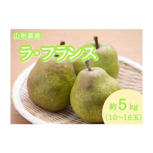 ふるさと納税 梨 山形県 山形市 山形産 ラ・フランス 秀品 約5kg(10〜16玉) 令和8年産先行予約 FS25-795