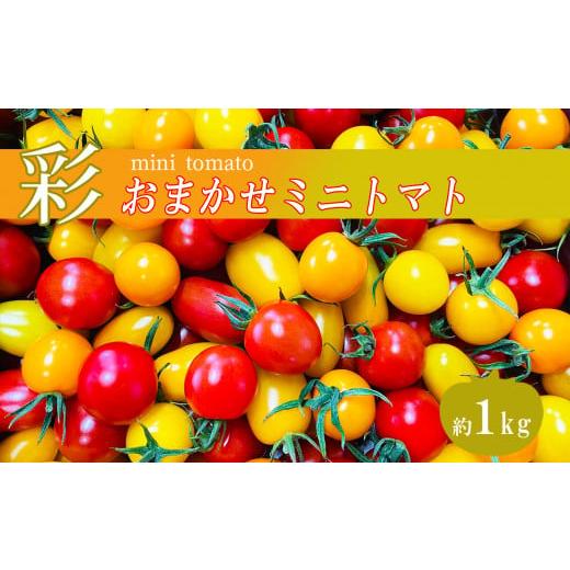 ふるさと納税 熊本県 玉名市 おたのしみ ミニトマト 1kg サザキ農園