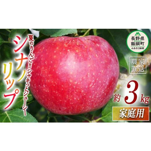ふるさと納税 りんご 長野県 飯綱町 りんご シナノリップ 家庭用 3kg ヤマウラ農園 沖縄県への配送不可 2026年8月中旬頃から2026年8月下旬頃まで順次発送予定 …