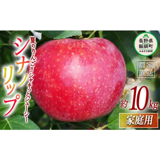 ふるさと納税 りんご 長野県 飯綱町 りんご シナノリップ 家庭用 10kg ヤマウラ農園 2026年8月中旬頃から2026年8月下旬頃まで順次発送予定 令和8年度収穫分 信…