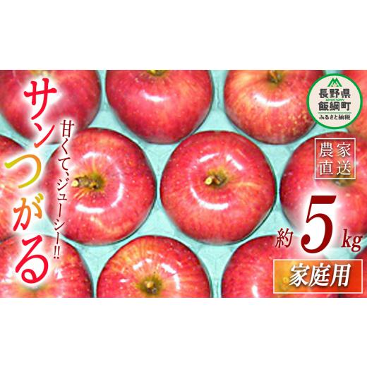 ふるさと納税 りんご 長野県 飯綱町 りんご サンつがる 家庭用 5kg ヤマウラ農園 沖縄県への配送不可 2026年9月上旬頃から2026年9月中旬頃まで順次発送予定 令…