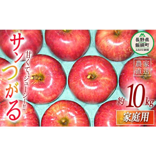 ふるさと納税 りんご 長野県 飯綱町 りんご サンつがる 家庭用 10kg ヤマウラ農園 2026年9月上旬頃から2026年9月中旬頃まで順次発送予定 令和8年度収穫分 信州…