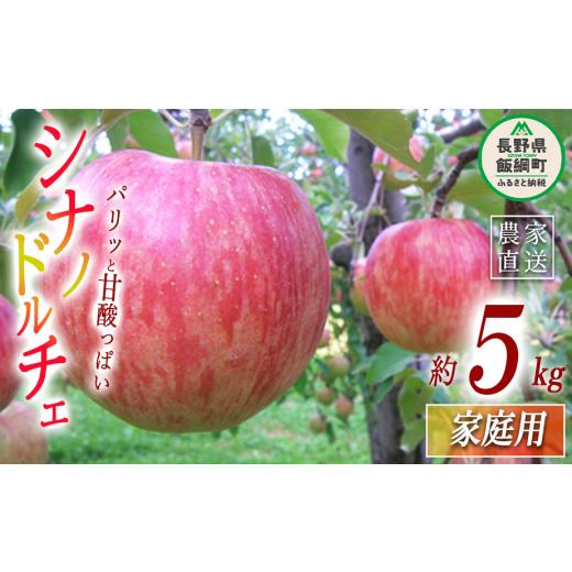 ふるさと納税 りんご 長野県 飯綱町 りんご シナノドルチェ 家庭用 5kg ヤマウラ農園 沖縄県への配送不可 2026年9月中旬頃から2026年9月下旬頃まで順次発送予…
