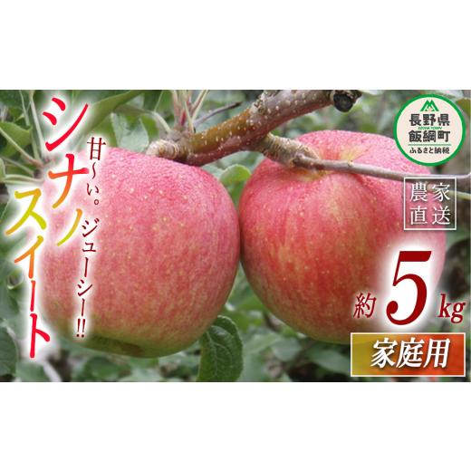 ふるさと納税 りんご 長野県 飯綱町 りんご シナノスイート 家庭用 5kg ヤマウラ農園 沖縄県への配送不可 2026年10月中旬頃から2026年10月下旬頃まで順次発送…