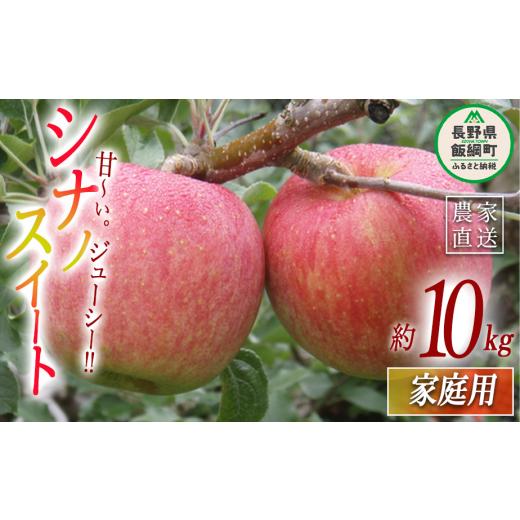 ふるさと納税 りんご 長野県 飯綱町 りんご シナノスイート 家庭用 10kg ヤマウラ農園 2026年10月中旬頃から2026年10月下旬頃まで順次発送予定 令和8年度収穫…