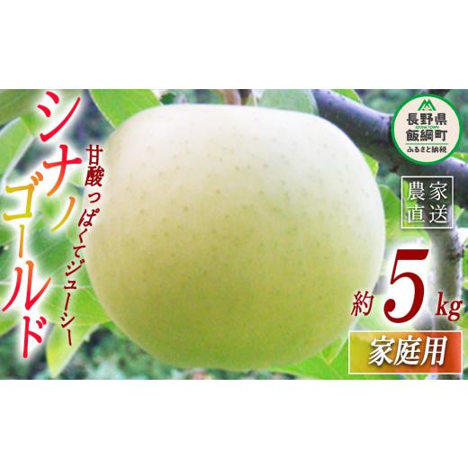 ふるさと納税 りんご 長野県 飯綱町 りんご シナノゴールド 家庭用 5kg ヤマウラ農園 沖縄県への配送不可 2026年11月上旬頃から2026年11月中旬頃まで順次発送…