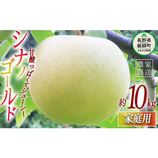 ふるさと納税 りんご 長野県 飯綱町 りんご シナノゴールド 家庭用 10kg ヤマウラ農園 2026年11月上旬頃から2026年11月中旬頃まで順次発送予定 令和8年度収穫…
