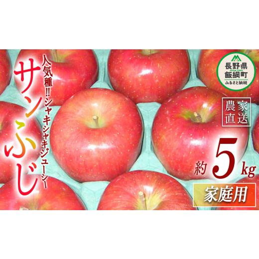 ふるさと納税 りんご 長野県 飯綱町 りんご サンふじ 家庭用 5kg ヤマウラ農園 沖縄県への配送不可 2026年11月下旬頃から2026年12月上旬頃まで順次発送予定 令…