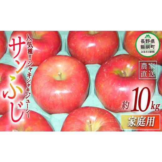 ふるさと納税 りんご 長野県 飯綱町 りんご サンふじ 家庭用 10kg ヤマウラ農園 2026年11月下旬頃から2026年12月上旬頃まで順次発送予定 令和8年度収穫分 信州…