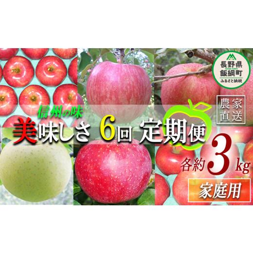 ふるさと納税 りんご 長野県 飯綱町 旬のりんご 定期便 家庭用 3kg × 6回 ヤマウラ農園 沖縄県への配送不可 2026年8月中旬頃から2026年12月上旬頃まで順次発…