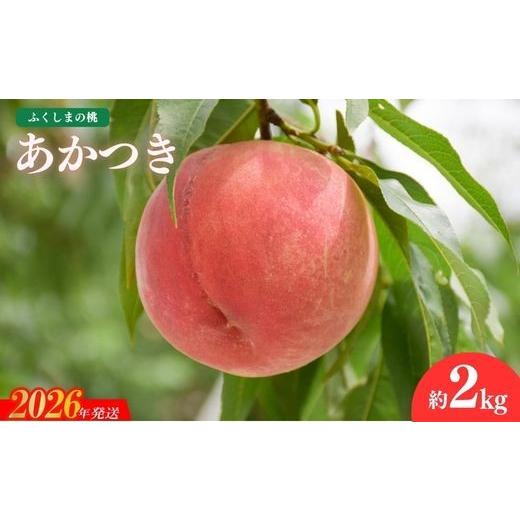 ふるさと納税 もも 福島県 福島市 No.2686もも「あかつき」約2kg 2026年発送 先行予約の画像
