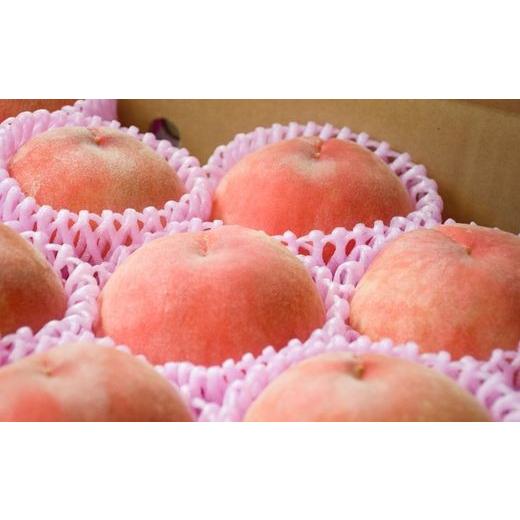 ふるさと納税 もも 福島県 福島市 No.2686もも「あかつき」約2kg 2026年発送 先行予約の画像