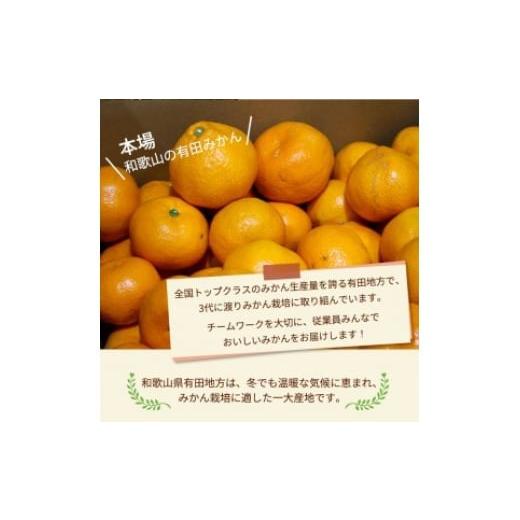 ふるさと納税 果物類 みかん 和歌山県 美浜町 ＼光センサー選別／こだわりの完熟有田みかん 4kg＋250g(傷み補償分) ご家庭用 サイズ混合 有機質肥料100% ｜ み&hellip;