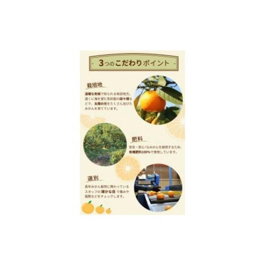 ふるさと納税 果物類 みかん 和歌山県 美浜町 ＼光センサー選別／こだわりの完熟有田みかん 4kg＋250g(傷み補償分) ご家庭用 サイズ混合 有機質肥料100% ｜ み&hellip;