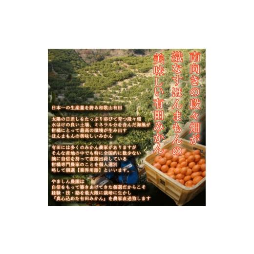 ふるさと納税 果物類 みかん 和歌山県 美浜町 ＼光センサー選別／こだわりの完熟有田みかん 4kg＋250g(傷み補償分) ご家庭用 サイズ混合 有機質肥料100% ｜ み&hellip;