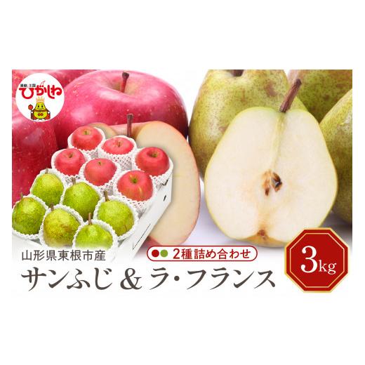 ふるさと納税 りんご 山形県 東根市 2026年産 サンふじ&amp;ラフランス 詰め合わせ 3kg 秀品 化粧箱入り 山形県 東根市 東根農産センター提供 hi027-210-r8 …