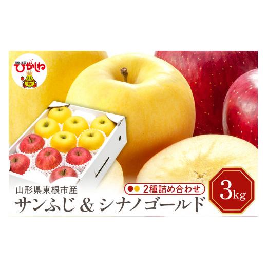 ふるさと納税 りんご 山形県 東根市 2026年産 りんご サンふじ&amp;シナノゴールド 詰め合わせ 3kg 秀品 化粧箱入り 山形県 東根市 東根農産センター提供 hi0…
