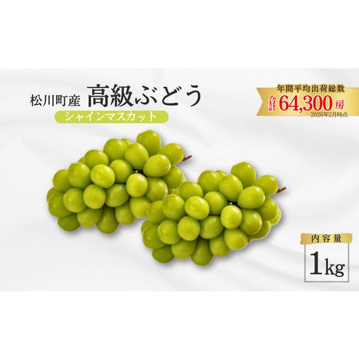 ふるさと納税 ぶどう マスカット 長野県 松川町 TK09 ぶどう シャインマスカット 約1kg/2026年9月中旬〜10月初旬 配送予定 // 長野県 松川町産 南信州 葡…