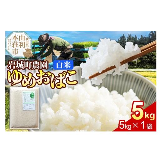 ふるさと納税 米 ひとめぼれ 秋田県 由利本荘市 白米 ゆめおばこ 秋田県産 岩城町農園のゆめおばこ 5kg(5kg×1袋)令和7年産 真空パック ゆめおばこ 米 お米…