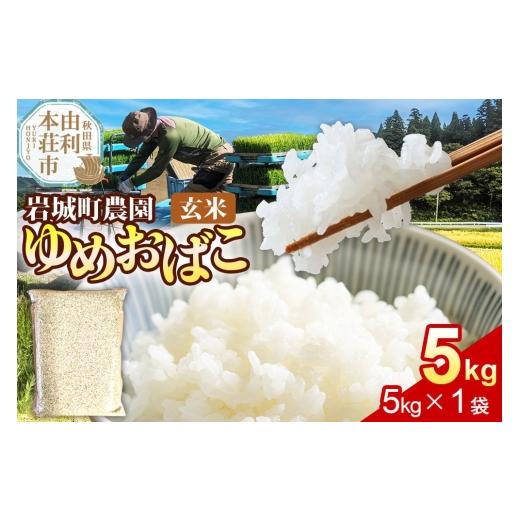 ふるさと納税 米 ひとめぼれ 秋田県 由利本荘市 玄米 ゆめおばこ 秋田県産 岩城町農園のゆめおばこ 5kg(5kg×1袋)令和7年産 真空パック ゆめおばこ 米 お米…