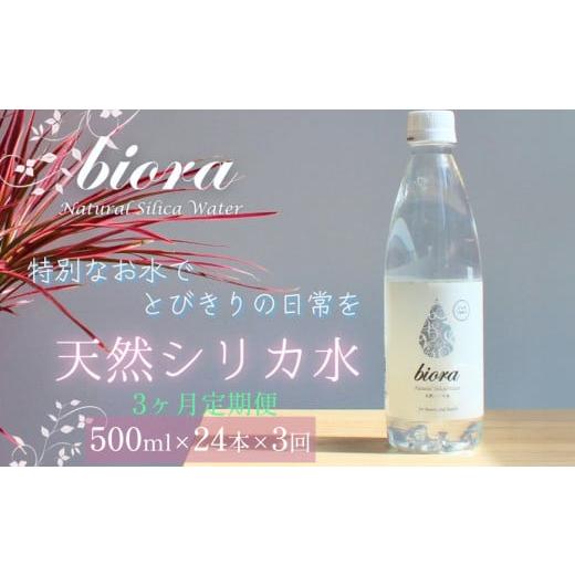 ふるさと納税 水・ミネラルウォーター 500mL〜999mL 大分県 玖珠町 biora天然シリカ水 500ml×24本×3回 定期便 天然水 シリカ水 軟水 ミネラル 美容 健康 玖…
