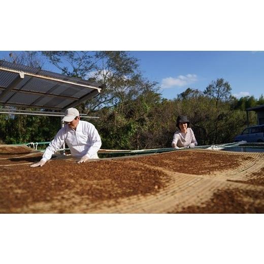 ふるさと納税 お茶類 大分県 臼杵市  定期便 スッキリ爽快 天日干し釜炒り製法 「ごぼう茶」（計180g×3回）の画像