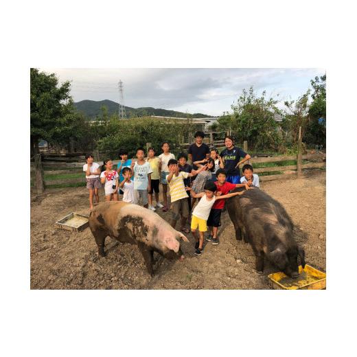 ふるさと納税 愛知県 田原市 どろんこ村ファームステイ 2泊3日参加券(子ども1名様分) 自然体験 農業 食育 食べる 育てる 体験型 宿泊 田舎 田舎暮らし