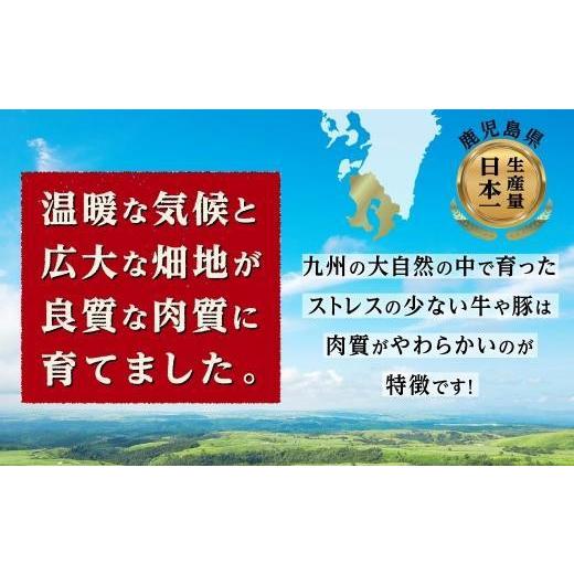 ふるさと納税 鹿児島県 大崎町 九州産黒毛和牛リブロースステーキ（4等級以上）1ポンド！｜furusatochoice｜04