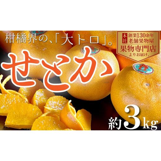 ふるさと納税 みかん・柑橘類 香川県 観音寺市 2027年2月中旬より順次発送 柑橘界の大トロ せとか 約3kg 果物 フルーツ 国産 日本産 冬の味覚 冬の果物 冬の…