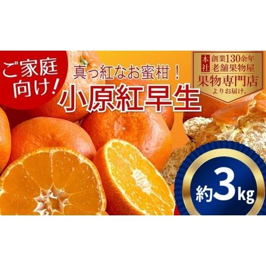 ふるさと納税 果物類 みかん 香川県 観音寺市 2025年11月中旬より順次発送 ご家庭用 真っ赤なみかんの小原紅早生 約3kg 果物 フルーツ 柑橘 デザート おやつ…
