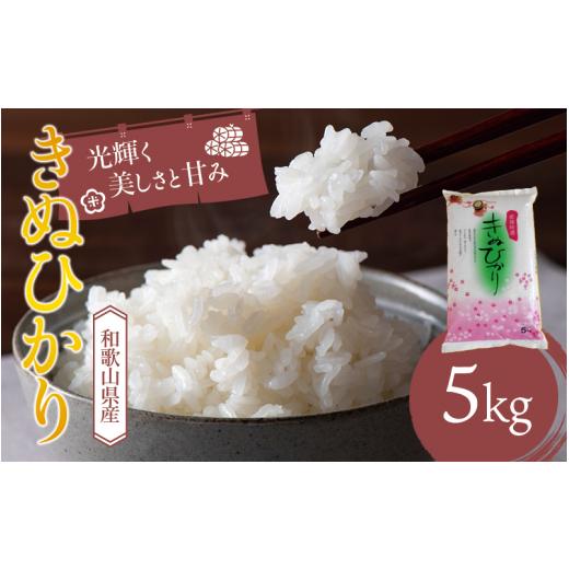 ふるさと納税 米 和歌山県 新宮市 和歌山県産 キヌヒカリ 5kg(2025年産) 産地直送 米 こめ ご飯 ごはん sml101F