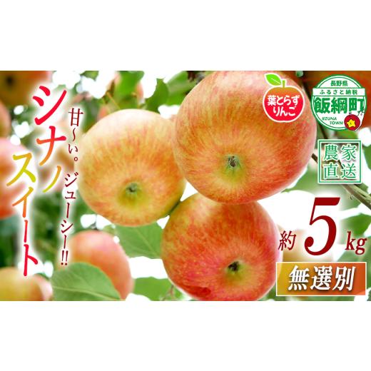 ふるさと納税 りんご 長野県 飯綱町 りんご シナノスイート 葉とらず 無選別 5kg エバラ農園 減農薬栽培 沖縄県への配送不可 2026年10月中旬頃から2026年11月…