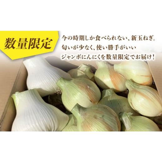 ふるさと納税 長崎県 平戸市 【先行予約】【季節限定】ジャンボにんにく約1kg・新玉葱約5kgセット 平戸市 ／ しげさん農園 [KAA375]｜furusatochoice｜03