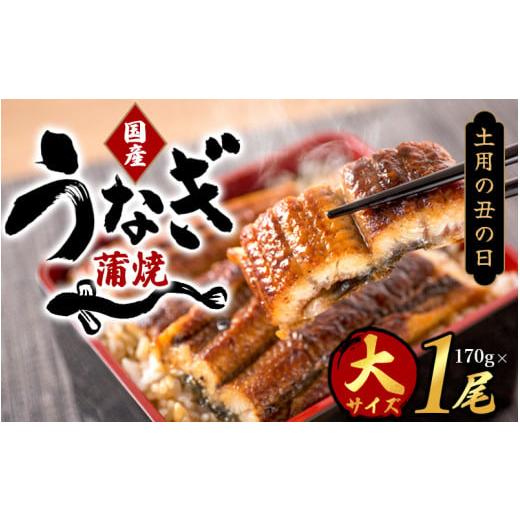 ふるさと納税 うなぎ 和歌山県 すさみ町 土用の丑の日までにお届け 大型サイズ 国産 大型サイズ ふっくら柔らか 国産うなぎ蒲焼き 1尾 約2人前 化粧箱入 先行…