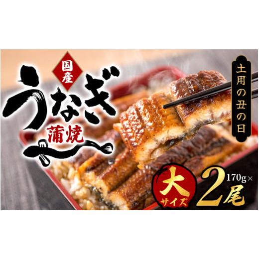 ふるさと納税 うなぎ 和歌山県 すさみ町 土用の丑の日までにお届け 大型サイズ 国産 大型サイズ ふっくら柔らか 国産うなぎ蒲焼き 2尾 化粧箱入 先行予約 国…